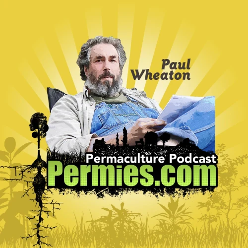 Podcast picture