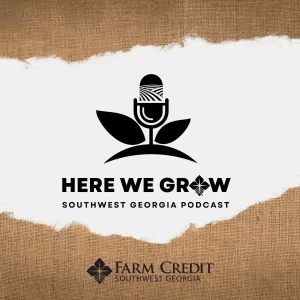 Podcast cover