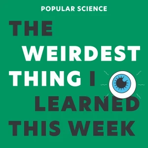 Podcast cover