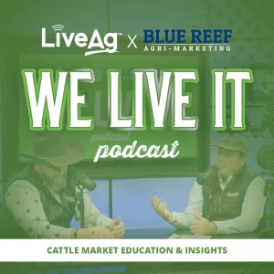 Podcast cover