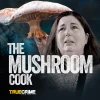 Podcast picture