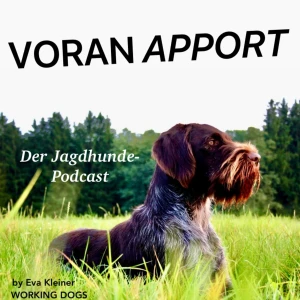 Podcast cover