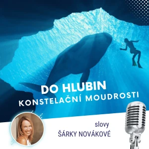 Podcast cover
