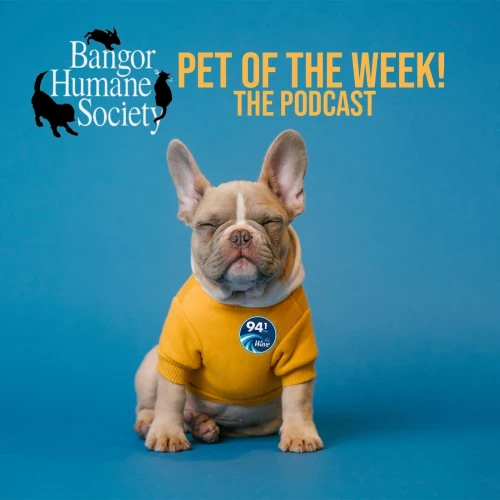 Podcast picture