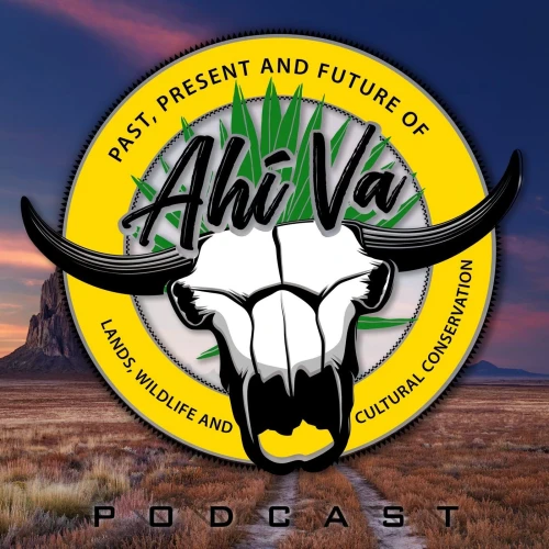 Podcast picture