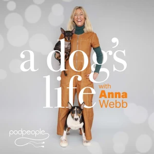 Podcast cover