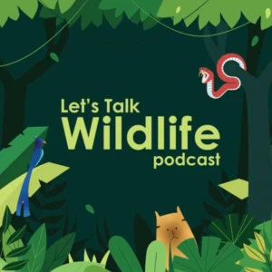Podcast cover