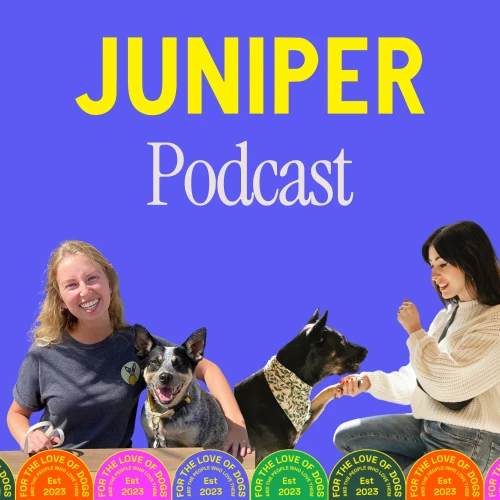 Podcast picture