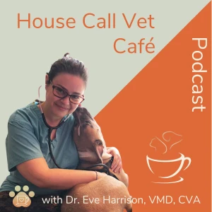 Podcast cover