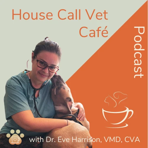 Podcast picture