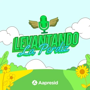 Podcast cover