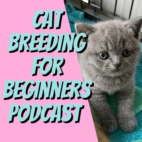 Podcast picture