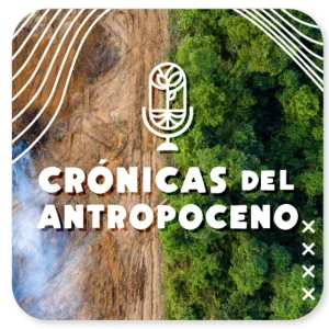 Podcast cover
