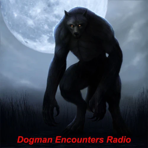 Podcast picture