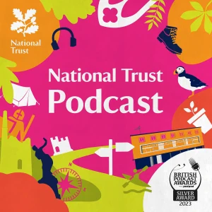 Podcast cover