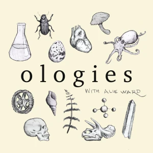 Podcast cover