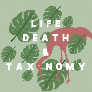 Podcast cover