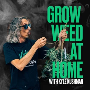 Podcast cover