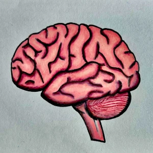 Podcast cover