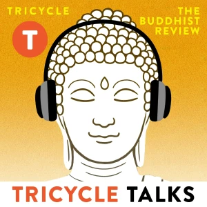 Podcast cover