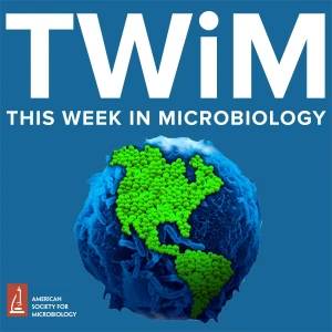 Podcast cover
