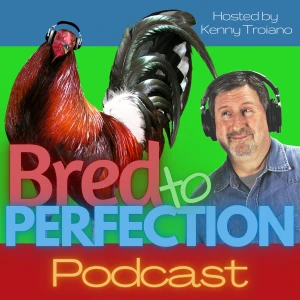 Podcast cover